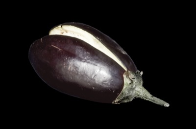 Eggplant Clap